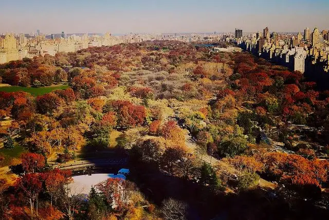 Central Park photo by Bland718